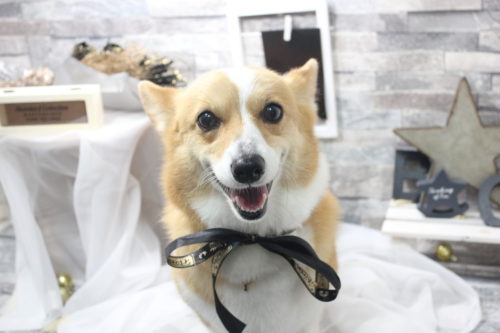 0521%e7%ab%b9%e5%86%85%e3%82%b7%e3%82%a7%e3%83%aa