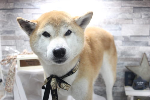 0522%e3%82%aa%e3%82%aa%e3%83%a4%e3%82%8a%e3%82%85%e3%81%86