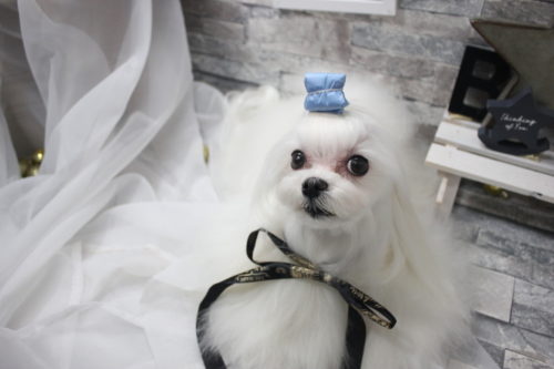 0522%e4%b8%8a%e5%9d%82%e3%83%a9%e3%83%ab%e3%82%b4