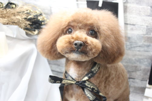 0522%e4%b8%8a%e7%94%b0%e8%b2%9e%e6%b2%bb