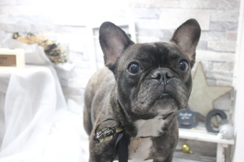 0522%e4%ba%95%e5%8f%a3%e3%81%b2%e3%81%be%e3%82%8f%e3%82%8a