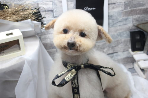 0522%e4%bc%8a%e8%97%a4%e3%83%ac%e3%83%83%e3%83%89