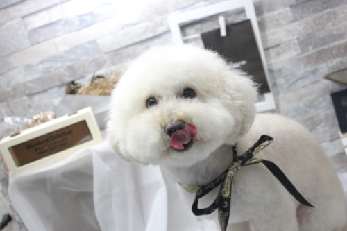 0522%e5%b1%b1%e4%b8%8b%e3%83%ad%e3%83%8a