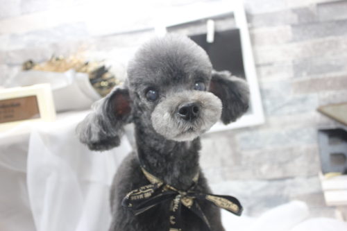 0522%e6%b8%85%e6%b0%b4%e3%82%b8%e3%82%b8