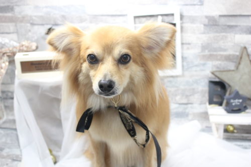 0522%e6%bf%b1%e7%94%b0%e3%82%a8%e3%83%ab