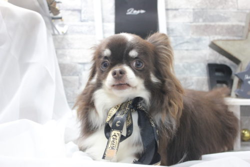 0522%e6%bf%b1%e7%94%b0%e3%82%a8%e3%83%bc%e3%82%b9