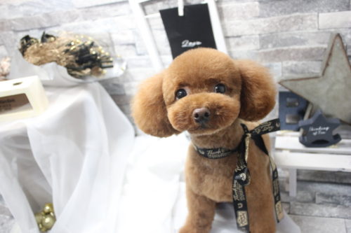 0522%e9%87%91%e6%b0%b8%e3%83%8f%e3%83%88%e3%82%a5