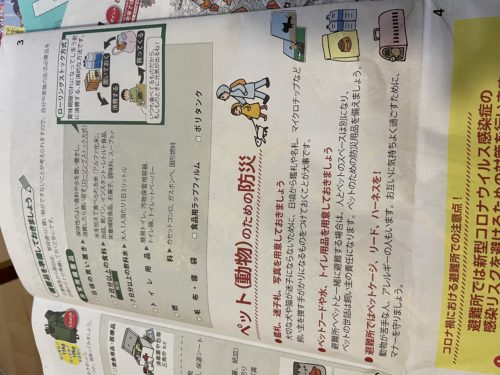 ee294e10-99e5-4105-9e20-7d36b6c32bf9