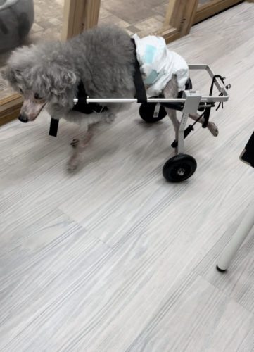 03b9c77a-a974-470c-b6ba-66875382fe9b