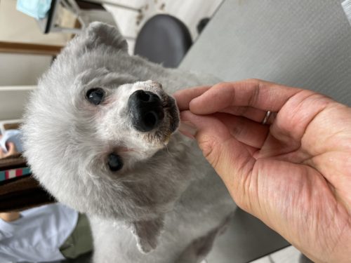 2dcdffb8-c8f8-40f4-8ab8-3fc453e7f01f