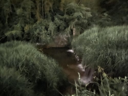 450f8934-b64d-4d42-a9cf-2886f176724f