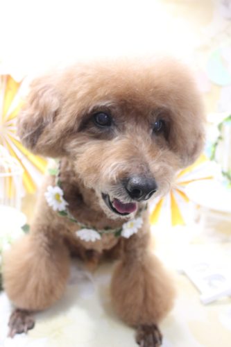 12704b03-ddf1-4807-82c9-32f3b7643cda