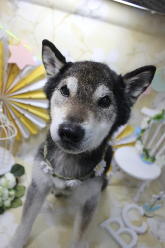 58fd02b3-397d-4f8d-876a-254c905ad618