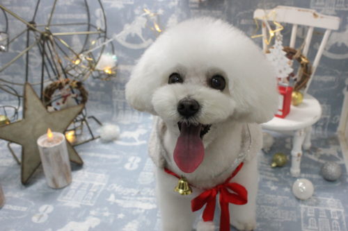 1229%e4%b8%ad%e8%be%bc%e3%82%a2%e3%83%b3%e3%82%b8%e3%83%a5