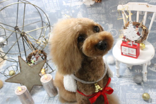 1229%e4%bb%8a%e6%b4%a5%e3%82%aa%e3%83%85%e3%83%9e