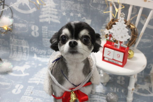 1229%e4%bb%8a%e6%b4%a5%e3%83%ad%e3%83%af