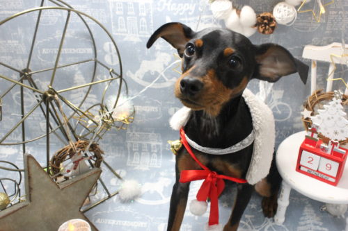 1229%e4%bc%8a%e9%81%94%e3%83%90%e3%83%ad%e3%83%b3