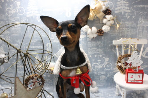 1229%e4%bc%8a%e9%81%94%e3%83%a9%e3%83%93