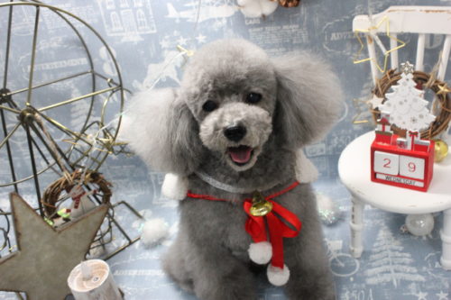 1229%e5%a1%9a%e6%9c%ac%e3%82%b8%e3%83%a5%e3%83%aa%e3%82%a2