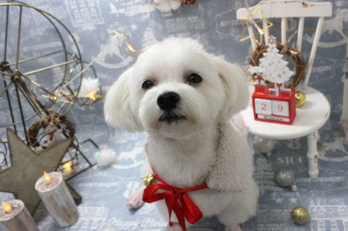 1229%e5%a4%a7%e6%be%a4%e8%8f%af