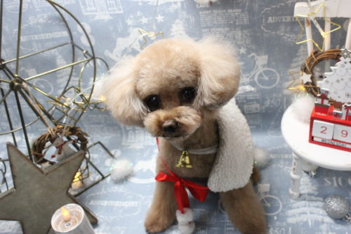 1229%e6%ad%a6%e7%94%b0%e3%83%a9%e3%83%96