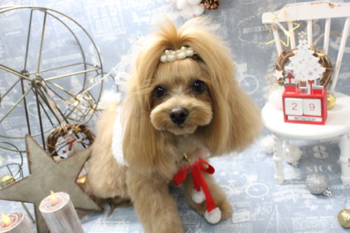 1229%e7%a6%8f%e7%94%b0%e3%82%8c%e3%81%82