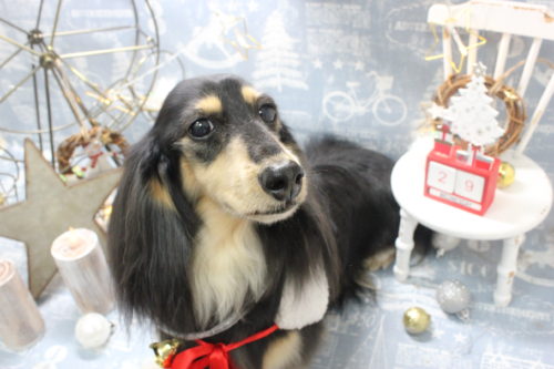 1229%e7%a6%8f%e7%94%b0%e3%83%a2%e3%83%a2%e3%81%ae%e3%81%99%e3%81%91