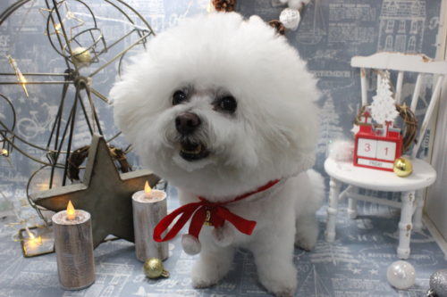 1231%e4%b8%8a%e5%b7%9d%e3%83%a2%e3%82%b3