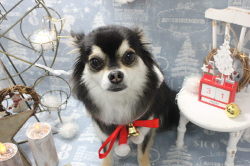 1231%e4%ba%95%e4%b8%8a%e8%a9%a9