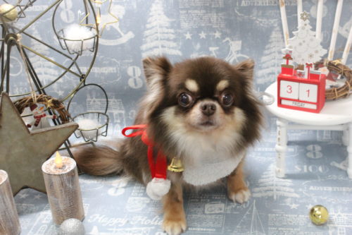 1231%e4%bc%8a%e8%97%a4%e3%83%9e%e3%83%ad%e3%83%b3