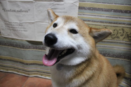 1231%e5%90%89%e8%89%af%e5%a4%a7%e5%90%89