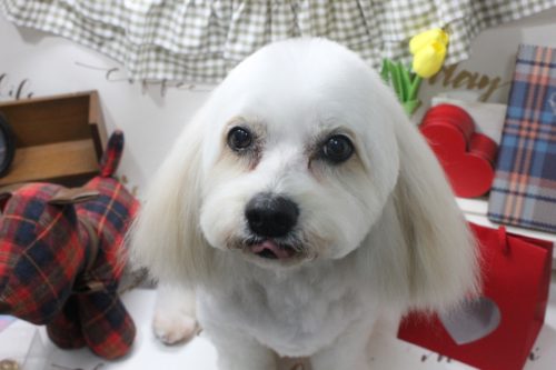 419a2400-c8a7-484e-95db-6f1865af8dde