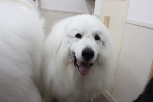 5ac51da9-0646-4dd9-9497-1e91811220f5