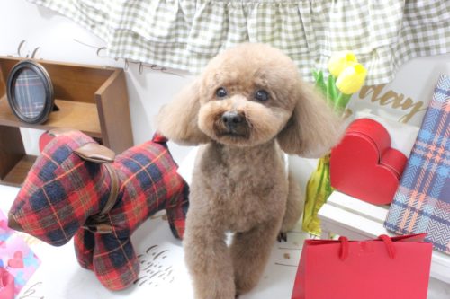 90f4b6fa-8953-4368-9a2e-a78ded83b656