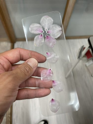 29dd3e16-7b46-4157-8288-9f1cc5b2c068