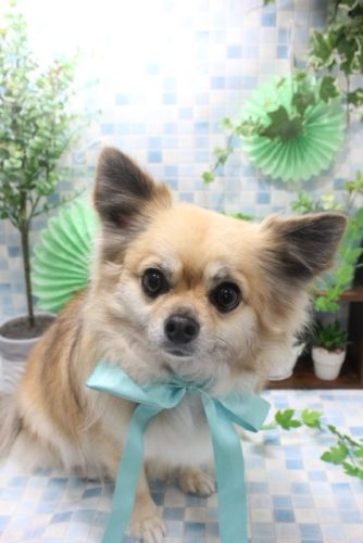 aa411ada-bf98-49b0-9842-013bc94c6113