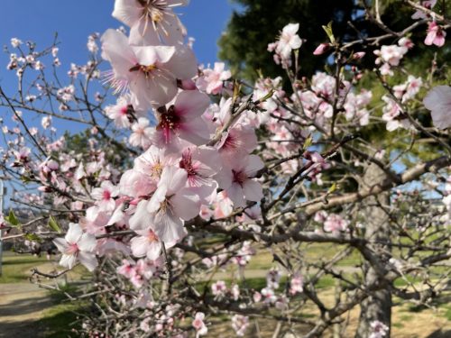 b5c457c8-111c-4ab4-90eb-5e8ebf37810a