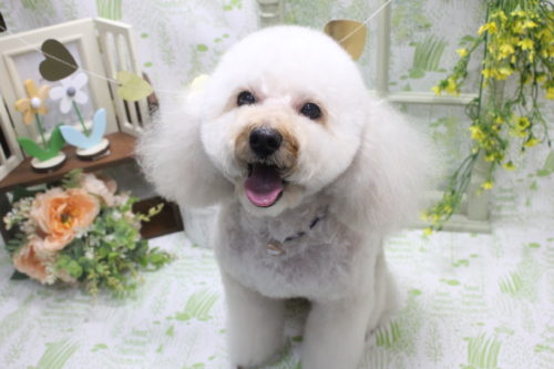 0329%e5%b9%b3%e5%8f%a4%e5%a0%b4%e3%82%b3%e3%82%b3