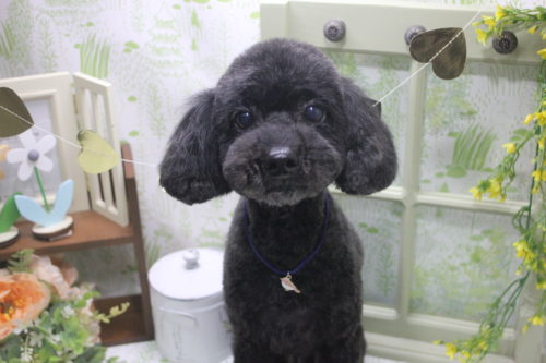 0329%e6%b1%9f%e9%a0%ad%e3%83%a2%e3%82%ab