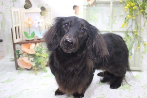 1364d0af-2bd8-463b-8dbd-319ebb5a2ceb