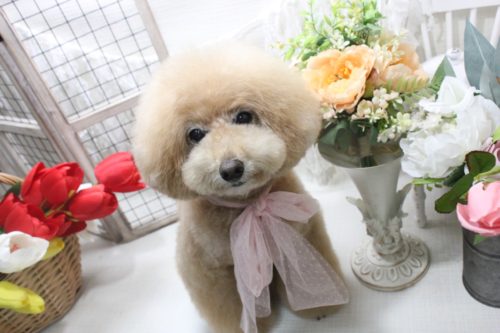 3d768c72-2637-46b2-ad76-dd5896c9df3c