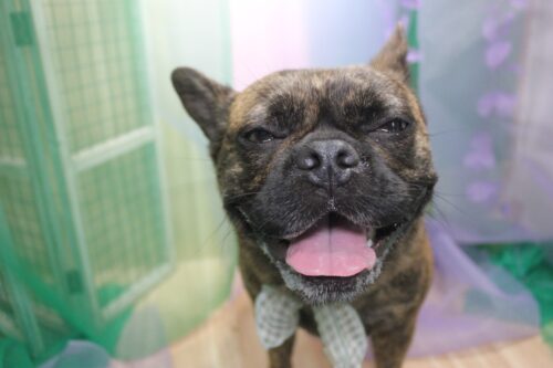 0633c1c7-6d1b-4f98-9916-ef3ffaf174f0