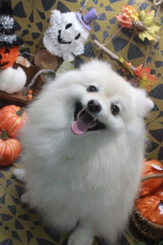 07fa33d5-c9f6-493c-8bc1-8f0c5baa4029