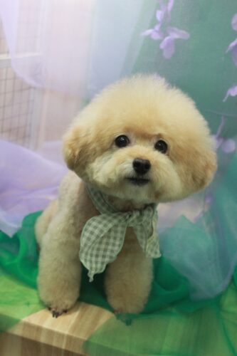 1f40570f-5c7b-46a7-8145-e068c6f96c88