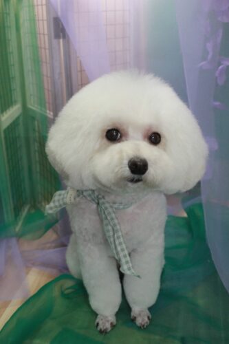 2ac7510e-2996-44f6-8010-7452cefd4079