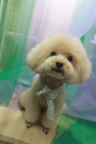 3c8d8e74-c8cc-46cc-9149-500bda49e539