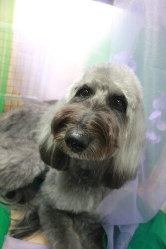 3cf62fa7-a3a0-40e0-856c-d6117a4637c5