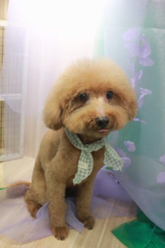 491b192a-9b27-4c75-9be7-6ecd5387b207