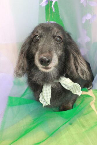 57f84a60-bddb-4adc-bea7-b86ea3001371