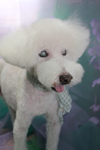 61430e2f-1b09-437b-b87e-7819b650fc44